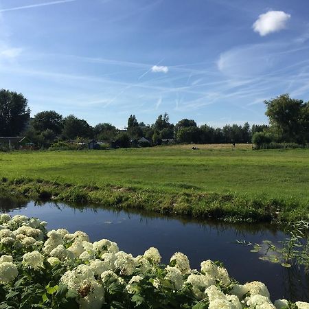 Independent Apartment Spaarne Haarlem Rom bilde